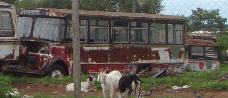 Mercedes-Benz L 1113 - Cebra - Linea 40 , Emp. 29 de Junio S.R.L.
Palabras clave: MB