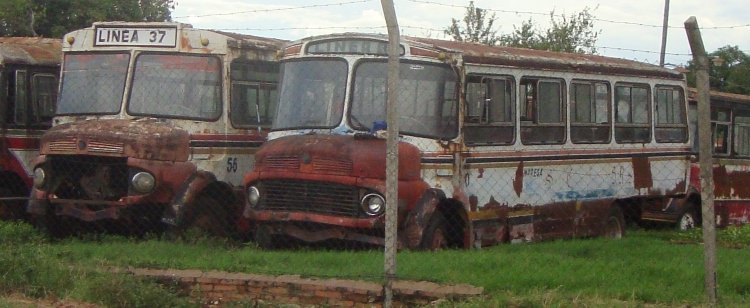 Mercedes-Benz L 1113 - EX Linea 37 , San Cayetano
Antiguos Buses de La empresa San Cayetano -
En el Primer Bus se nota claramente la pintura Celeste y Azul de la Linea 39
Palabras clave: MB