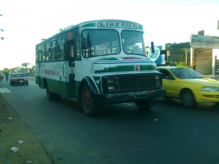 Mercedes Benz L 1113- Linea 22-2 - Cebra
