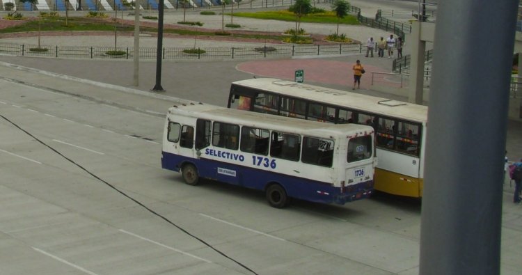 ¿Que chasis es?
¿Que carroceria es?
