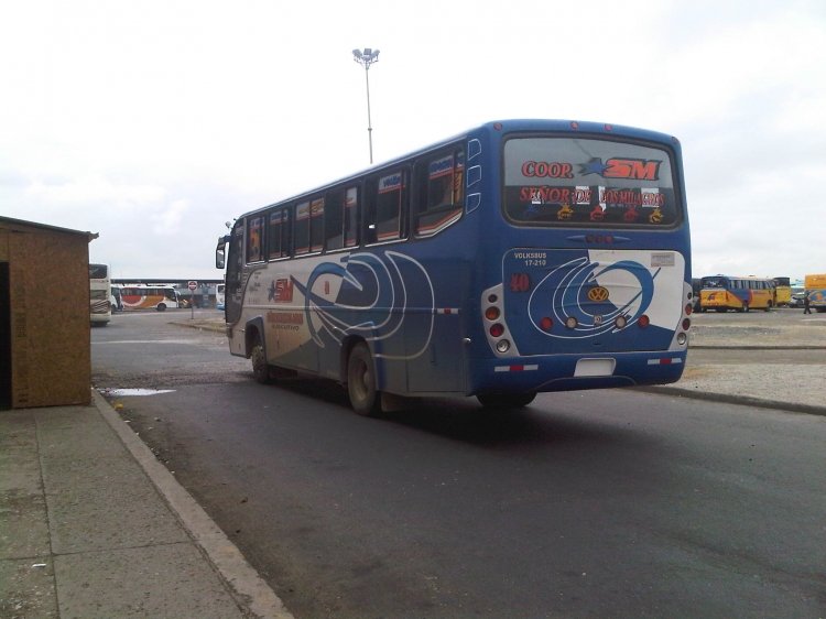 Ibimco Cobra
Señor de los Milagros
