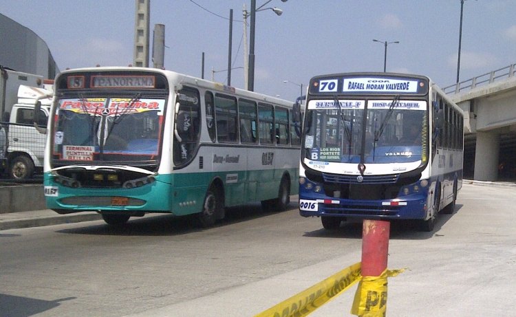 Peralbo y Buscars
Linea 81 y Linea 70
