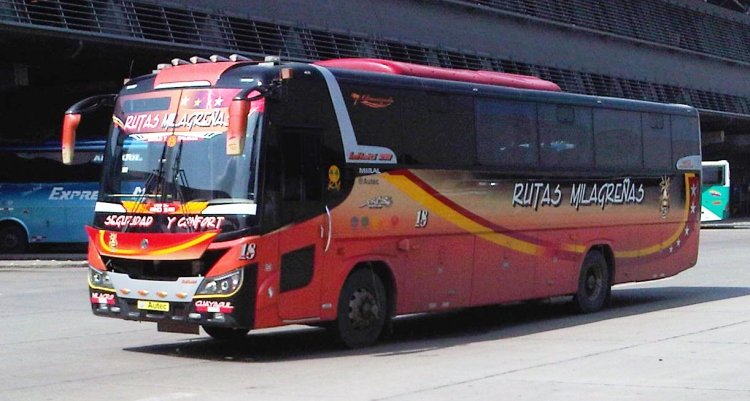 Miral Infinity
Expreso Milagro 18
Palabras clave: milagro miral volksbus