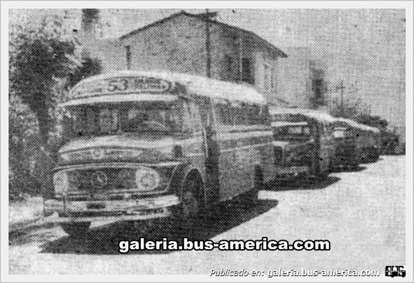 Mercedes-Benz LO 1112 - Alcorta - Línea 213
