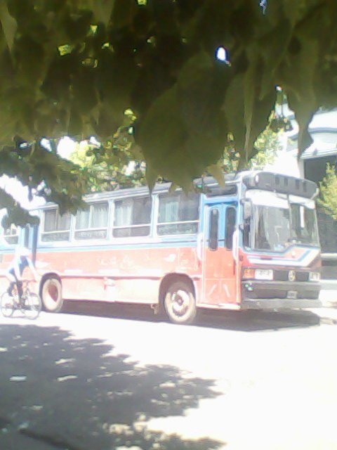 Particula
Palabras clave: facu