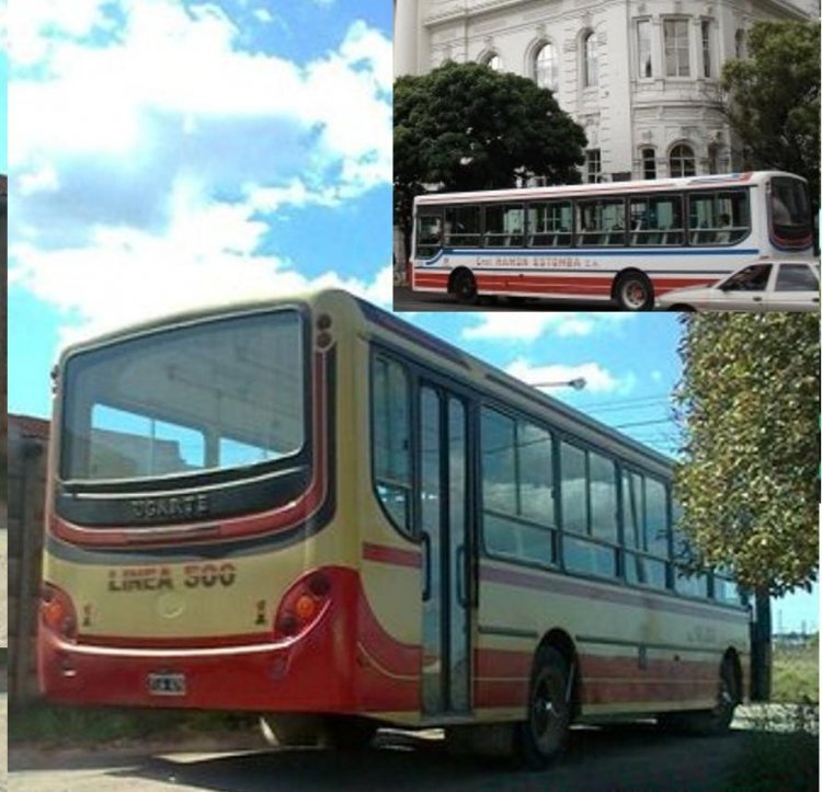 Mercedes-Benz OF 1417 - Ugarte - Linea 500 9 de Julio
FOTOS:Grupo linea 500 en facebook (foto grande) y LABAHIAPERDIDA.BLOGSPOT.COM (foto pequeña)
Linea 500 9 de Julio interno uno, ex interno 19 linea 518 Ramon Estomba 
Palabras clave: facu 518 Ramon Estomba Ugarte 
