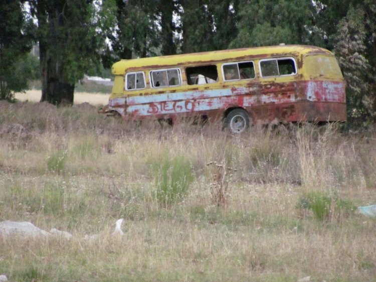 Palabras clave: facu bondis