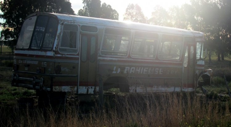 Mercedes-Benz LO 1114/483 - Ala - Ex Cia. La Bahiense s.r.l
http://galeria.bus-america.com/displayimage.php?pos=-17552
http://galeria.bus-america.com/displayimage.php?pos=-17554
Palabras clave:  facu ala - La Bahiense