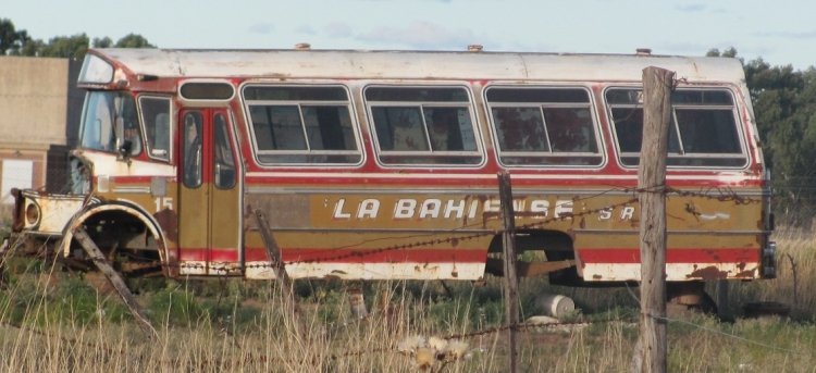 Mercedes-Benz LO 1114/483 - Ala - Ex Cia. La Bahiense s.r.l
http://galeria.bus-america.com/displayimage.php?pos=-17553
http://galeria.bus-america.com/displayimage.php?pos=-17554
Palabras clave:  facu ala - La Bahiense