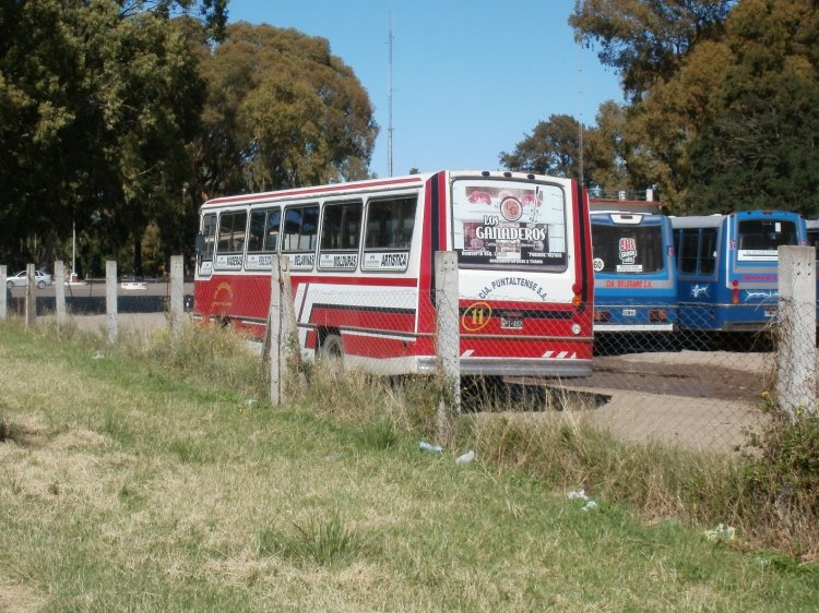 Mercedes-Benz OF 1214 - La Favorita - Cia. Puntaltense S.A Linea 504 bis
Palabras clave: facu La Favorita