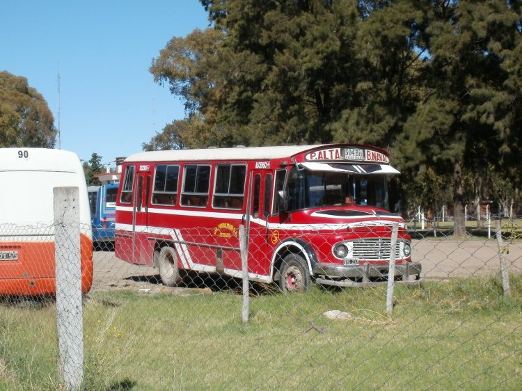 Mercedes-Benz LO 1114  - San Juan 17 - Cia. Puntaltense S.A Linea 504 bis
B.2213603 - VYE217
Palabras clave: facu 