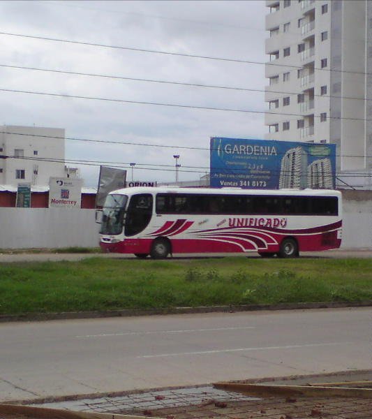 Comil Campione (en Bolivia) - Unuficado
Palabras clave: jose luis