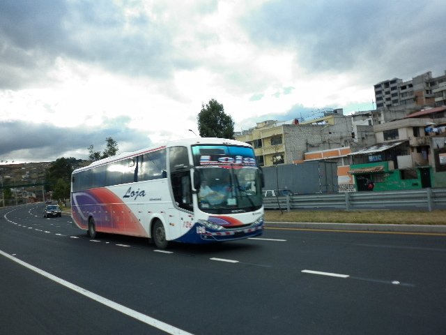 Fotografia de Hermel Enriquez Gualoto
Palabras clave: A g u i l a