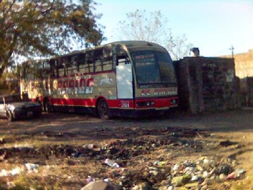 ex el rapido 307
foto extraida de fotolog
