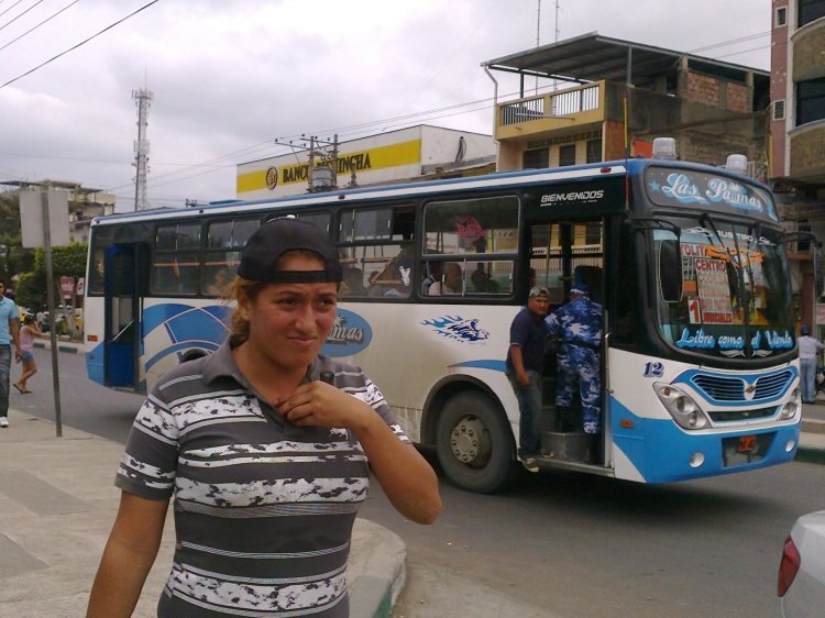 Juanca Durán / VASQUEZ 
PUC 462  BUS INJERTO DONG FENG ADAPTADO MOTOR HINO 
Palabras clave: MOVIL 12 