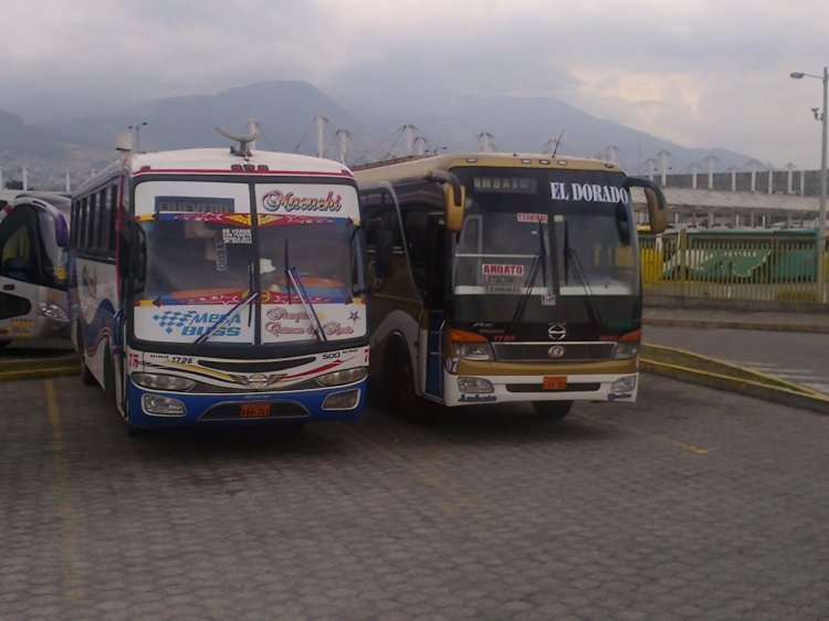 BUSSCAR (reformado en Ecuador) & CEPEDA 
Fotografia: Juanca Durán
DOS BUSES IZQUIERDA BUSSCAR REFORMADO A ESTILO MARCOPOLO  Y DERECHA CEPEDA SILVER.
IMAGENES CAPTURADAS EN TERMINAL DE QUITUMBE QUITO 
(Datos de derecha a izquierda)
Palabras clave: MOVILES IZQUIERDA 75 Y DERECHA 07 