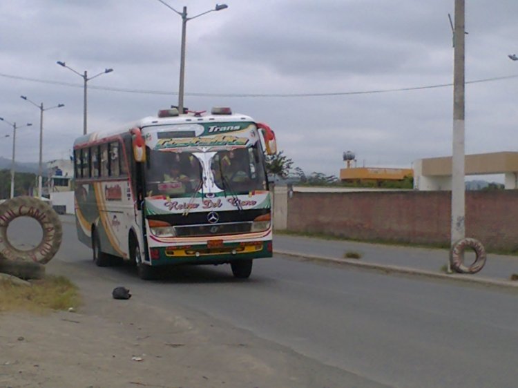 Juanca Durán / CEPEDA 
TAO 610 
Palabras clave: MOVIL 32 