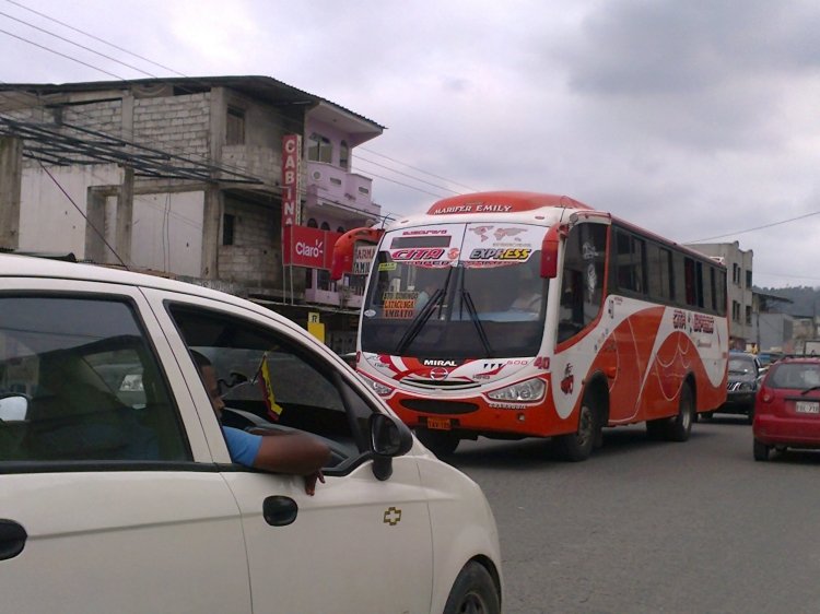 Juanca Durán / MIRAL 
MIRAL FELINE PLUS EN CITA EXPRESS 
Palabras clave: MOVIL 40 