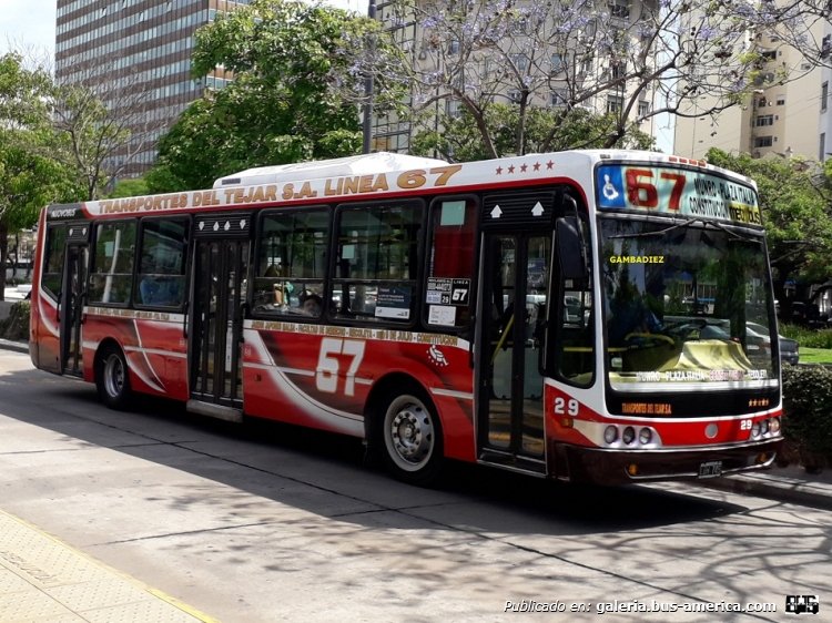 Mercedes-Benz OH 1718 L-SB - Nuovobus - Transportes del Tejar
LDH 745
Línea 67 (Buenos Aires) - Interno 29
Ex línea 39 (Buenos Aires) - Interno 67

Foto: "Truku" Gambadiez
Colección: Charly Souto
Palabras clave: Transportes del Tejar - Interno 29