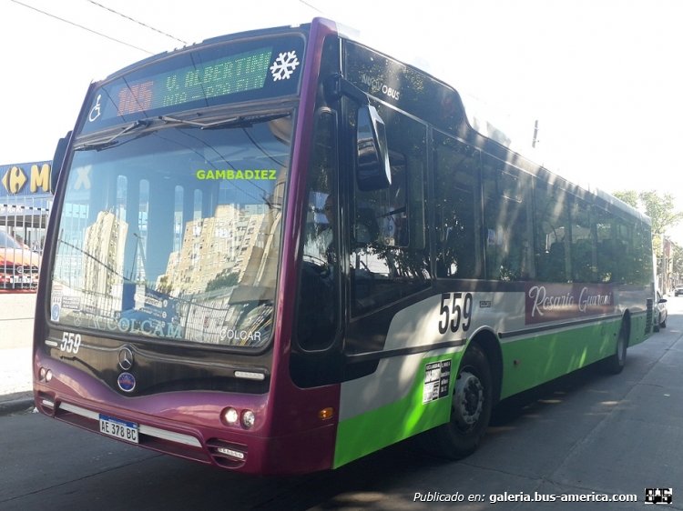Mercedes-Benz O-500 U - Nuovobus Cittá - Rosario Guaraní
AE 378 BC
Línea 145 (Buenos Aires) - Interno 559

Foto: "Truku" Gambadiez
Colección: Charly Souto
Palabras clave: Rosario Guaraní - Interno 559