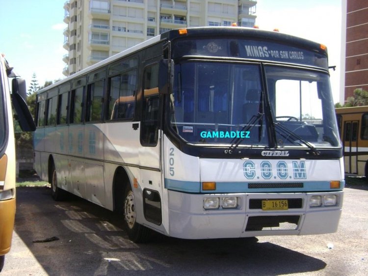 Ciferal GLS Bus (en Uruguay) - C.O.O.M. - 205
B 16.156
Palabras clave: C.O.O.M. - 205