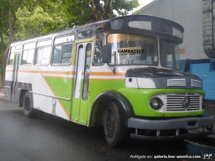 Mercedes-Benz LO 1114 - C.E.A.P. - Particular
C 953308 - UPN 483
http://galeria.bus-america.com/displayimage.php?pid=15626
http://galeria.bus-america.com/displayimage.php?pid=22978
(Unidad original de la línea 46 porteña)

Foto: "Truku" Gambadiez
Colección: Charly Souto

http://galeria.bus-america.com/displayimage.php?pid=22978
Palabras clave: Mercedes-Benz LO 1114 - C.E.A.P. - Particular
