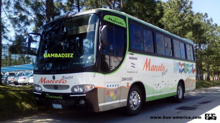 VOLKSBUS - COMIL (en Uruguay) - MARCELO VIAJES
ITU 1029
Foto: "Truku" Gambadiez
Colección: Charly Souto
Palabras clave: MARCELO VIAJES