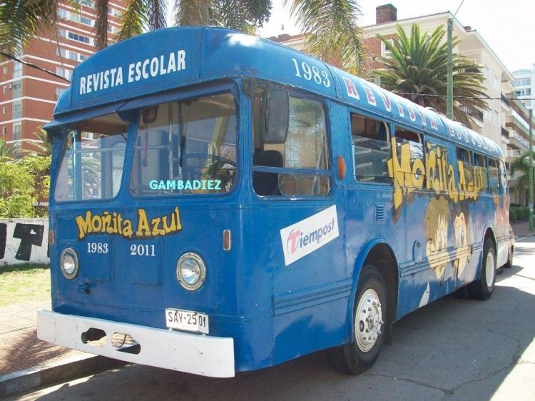 M.C.W. (en Uruguay) - MOÑITA AZUL I
SAY 2501
http://galeria.bus-america.com/displayimage.php?pos=-14990
Foto: "Truku" Gambadiez
Colección: Charly Souto 
Palabras clave: MOÑITA AZUL I