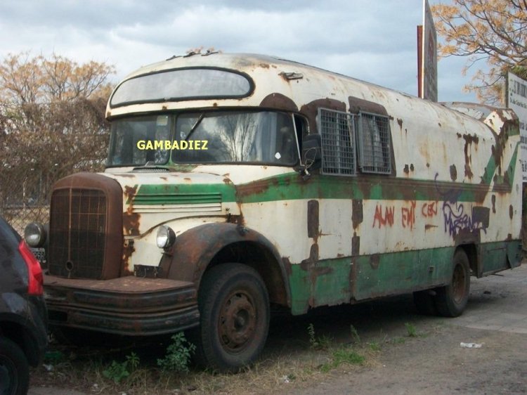 PARTICULAR
Foto: "Truku" Gambadiez
Colección: Charly Souto 
Palabras clave: PARTICULAR