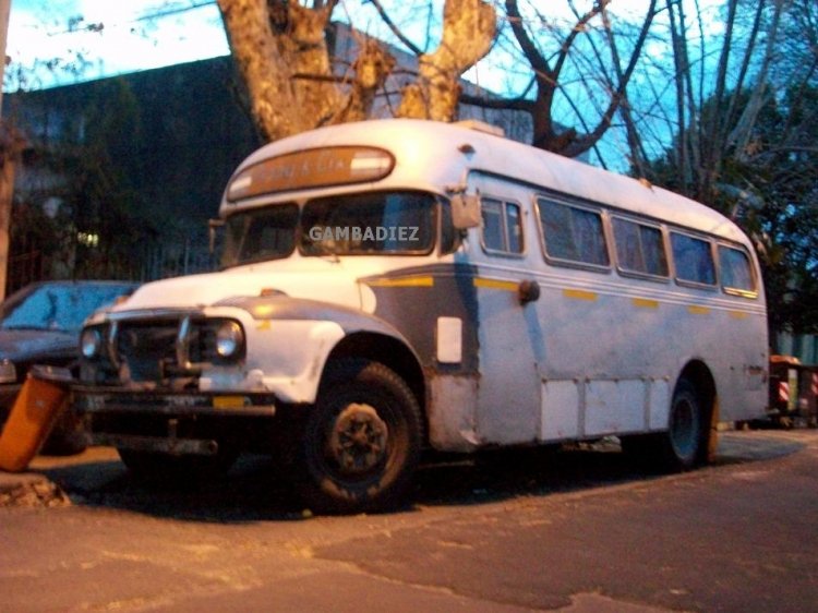 Bedford (G.M.A.) - Alcorta - Particular
C 307498 - UNG 824

Foto: "Truku" Gambadiez
Colección: Charly Souto

http://galeria.bus-america.com/displayimage.php?pid=34842
http://galeria.bus-america.com/displayimage.php?pid=39865
Palabras clave: PARTICULAR