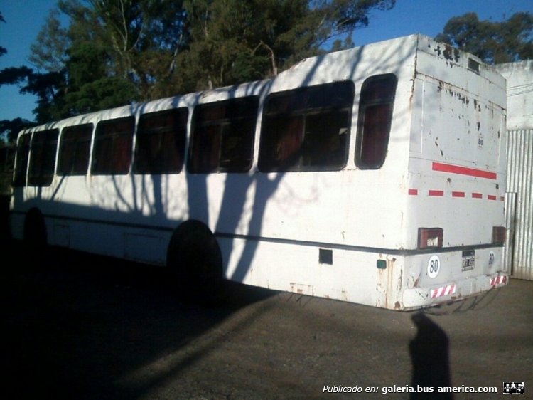 Mercedes-Benz LO 1114 - El Indio - Particular
C 1130243 - RKT 455
(Es un ex diferencial de la línea 105 porteña)

Foto: www.mercadolibre.com.ar
Colección: Charly Souto
Palabras clave: Mercedes-Benz LO 1114 - El Indio - Particular