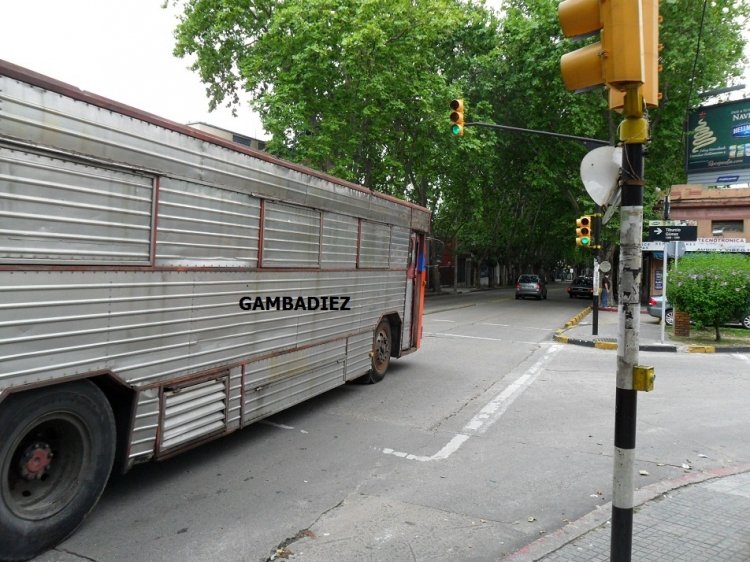 VETERANO VERDULERO
SAS 9309
http://galeria.bus-america.com/displayimage.php?pos=-16618
Foto: Truku Gambadiez
Colección: Charly Souto 
Palabras clave: VERDULERO