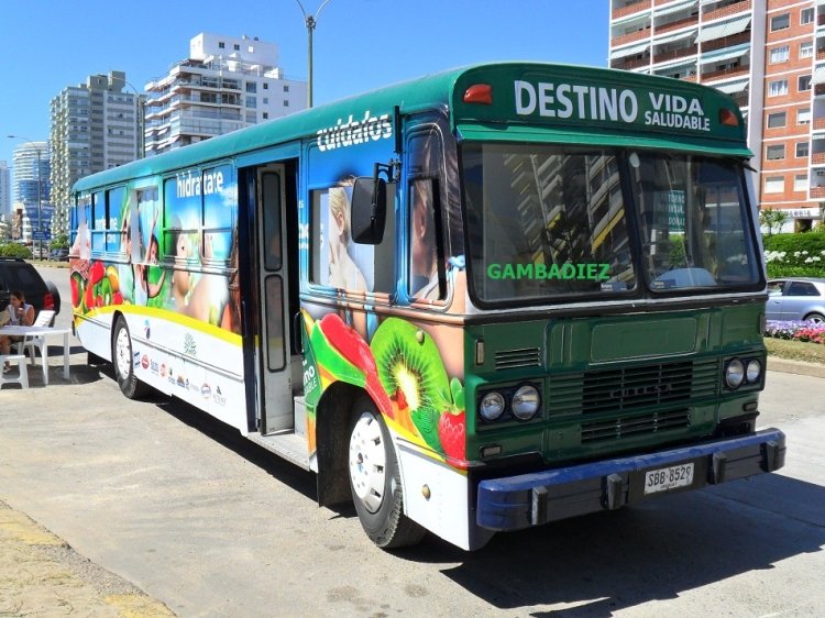 DESTINO VIDA SALUDABLE
SBB 8529
Foto: Truku Gambadiez
Colección: Charly Souto 
Palabras clave: DESTINO VIDA SALUDABLE