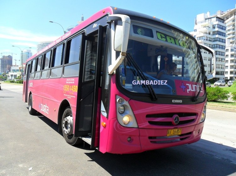 CAIO Foz Super (en Uruguay) - GUSCAPAR - 16
B 16-857
Foto: Truku Gambadiez
Colección: Charly Souto
Palabras clave: GUSCAPAR - 16