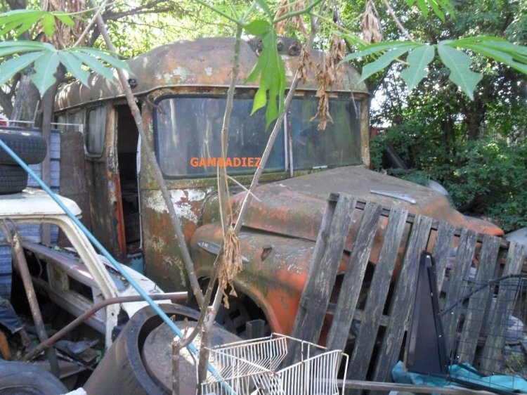 UN VERDADERO DINOSAURIO
http://galeria.bus-america.com/displayimage.php?pos=-18649
http://galeria.bus-america.com/displayimage.php?pos=-18650
http://galeria.bus-america.com/displayimage.php?pos=-18651
http://galeria.bus-america.com/displayimage.php?pos=-18652
http://galeria.bus-america.com/displayimage.php?pos=-18653
http://galeria.bus-america.com/displayimage.php?pos=-18654
Foto: "Truku" Gambadiez
Colección: Charly Souto 
Palabras clave: UN VERDADERO DINOSAURIO