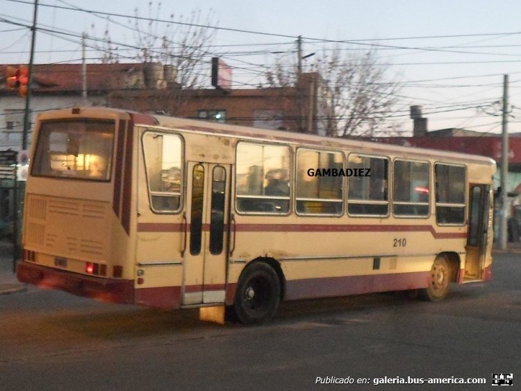 Mercedes-Benz OF 1215 - Bi-Met - Particular
N 107610 - TNZ 648
(Ex interno 61 de la línea 324 de Florencio Varela)

Foto: "Truku" Gambadiez
Colección: Charly Souto
Palabras clave: Mercedes-Benz OF 1215 - Bi-Met - Particular