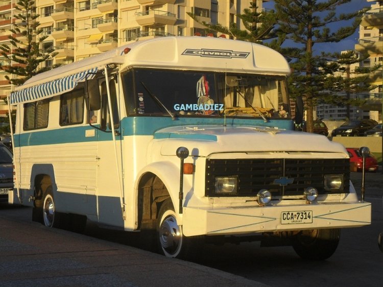 Chevrolte - Superior (en Uruguay) - MOTORHOME
CCA 7314
Foto: "Truku" Gambadiez
Colección: Charly Souto
Palabras clave: MOTORHOME
