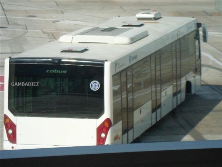 Cobus 5000 (en Perú) - SERVISAIR - 09
http://galeria.bus-america.com/displayimage.php?pos=-28354
http://galeria.bus-america.com/displayimage.php?pos=-28356

Foto: "Truku" Gambadiez
Colección: Charly Souto
Palabras clave: SERVISAIR - 06