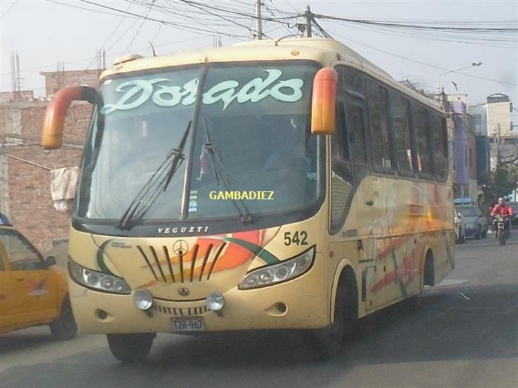 Mercedes-Benz LO 915 -  Veguzti - Dorado - 542
T2R-967
Foto: "Truku" Gambadiez
Colección: Charly Souto
Palabras clave: Dorado - 542