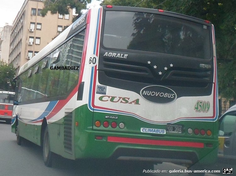 Agrale MT 17.0 LE - Nuovobus - C.U.S.A.
POD 394 
Línea 106 - Interno 4509

Foto: "Truku" Gambadiez
Colección: Charly Souto
Palabras clave: C.U.S.A. - Interno 4509