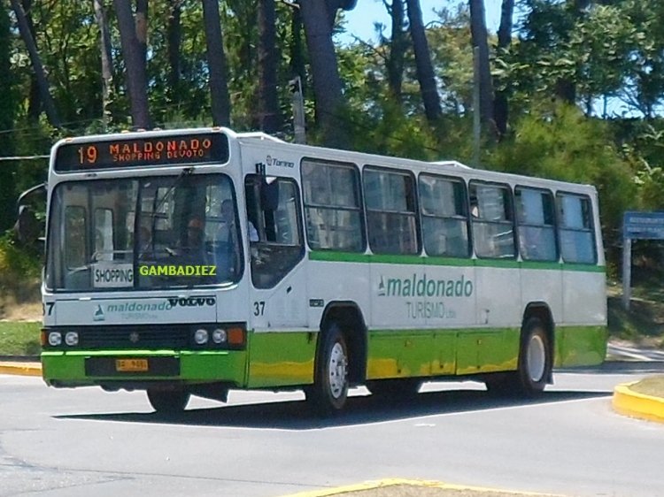 Volvo B 58 E - Marcopolo (en Uruguay) - Maldonado Turismo - 37
B 9-081
 Foto: "Truku" Gambadiez
 Colección: Charly Souto
Palabras clave: Maldonado Turismo - 37