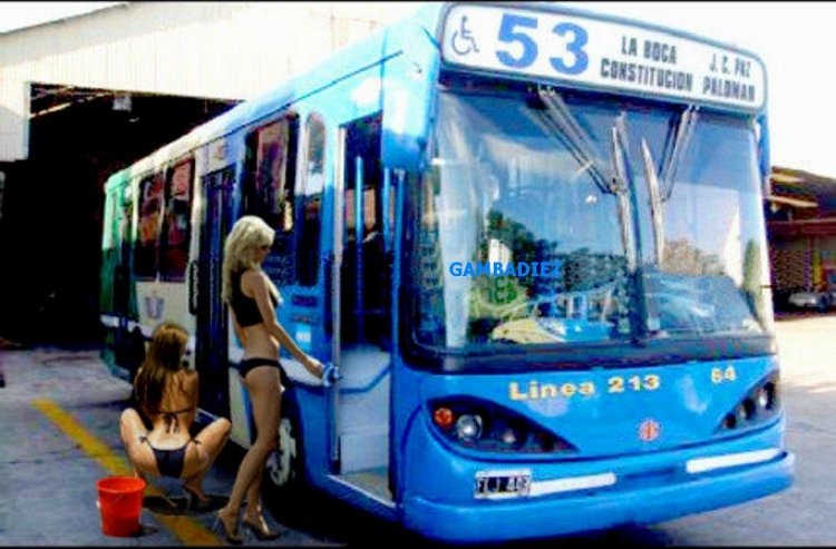 LINEA 213 S.A. - 64
FLJ 443
El personal de limpieza trabajando en la unidad.
Foto de mi amigo Charly "El Faraón" 
Imagen trucada
Palabras clave: LINEA 213 S.A. - 64