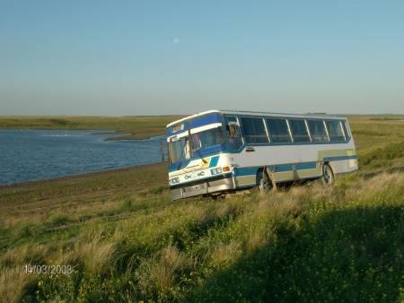 Ex Interno 18 Cia. Rivadavia
B.2576379 - TPA110

Ex Interno 18 de la Rivadavia. Se mantiene casi idéntico a como estaba en la empresa. Con la diferencia de que adentro se lo modificó como "colectivo media-distancia".
Fotos extraídas de http://autos-usados.sion.vivavisos.com.ar/automotores-usados+canuelas/colectivo/41423261

http://galeria.bus-america.com/displayimage.php?pos=-12423
http://galeria.bus-america.com/displayimage.php?pos=-17702 
http://galeria.bus-america.com/displayimage.php?pos=-18611
http://galeria.bus-america.com/displayimage.php?pos=-18612
http://galeria.bus-america.com/displayimage.php?pos=-18613
http://galeria.bus-america.com/displayimage.php?pos=-18615
http://galeria.bus-america.com/displayimage.php?pos=-20540
Palabras clave: Rivadavia Interno18 513