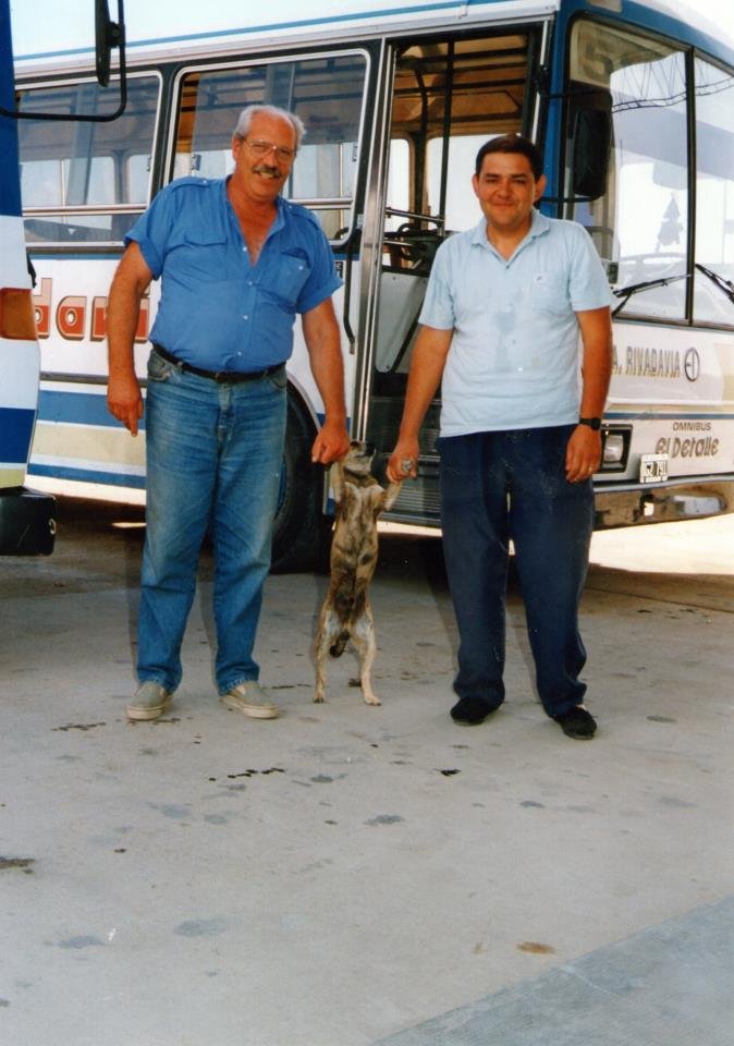 Interno 9 y 28 Cia. Rivadavia
Hoy subieron al grupo del face esta hermosa foto, donde aparecen 2 choferes que conocí muy bien en la Rivadavia. El "Tano" Di Carli a la izquierda, y Gerónimo Quilaman a la derecha . El OA en primer plano es el 9, y lo poco que se vé de la trompa de otro OA, segurísimo que es el 28 ya que el Tano andaba en ese.

Foto de Familia Quilaman.
Palabras clave: Rivadavia Interno9 513