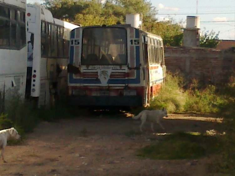 Interno 15 Cia. La Unión
Este coche fue el último interno 15 de La Unión. Actualmente está abandonado en un galpón, hace unos días nos enteramos, y fuimos rápido a fotografiarlo con Luciano.
La carrocería es Nueva Dimensión (bastante extraña).

Foto de Luciano Gartner.
Palabras clave: LaUnion Interno15