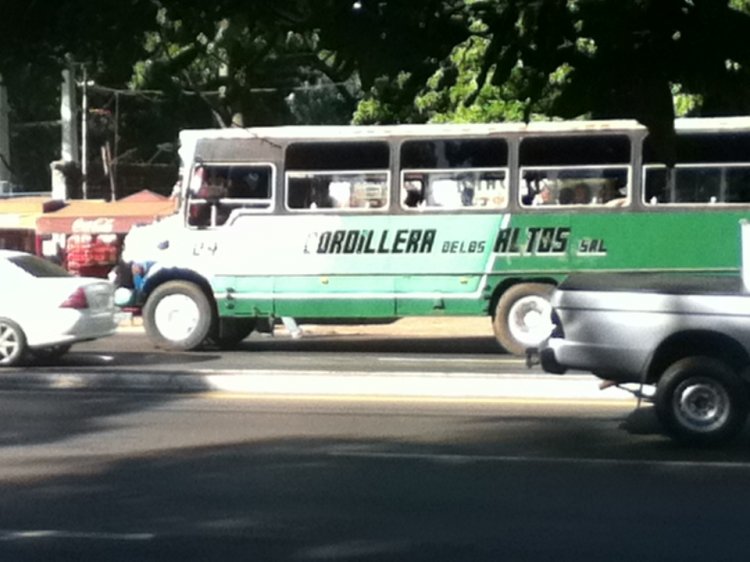 cordillera de los altos
Palabras clave: cordillera de los altos