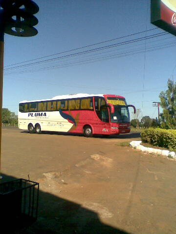 Marcopolo Paradiso G6 - Pluma
Pluma de Brasil
Palabras clave: --