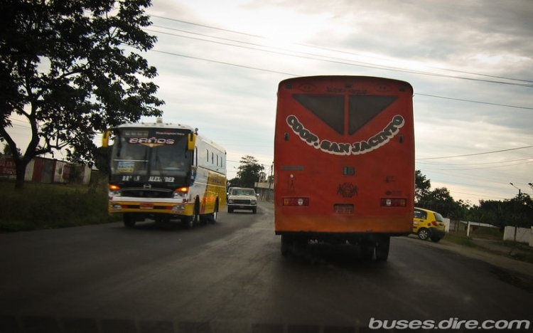 Lo que Sucede cuando los dueños de bus intentan ser carroceros.
Un modelo futurista.
Palabras clave: Bus futurista