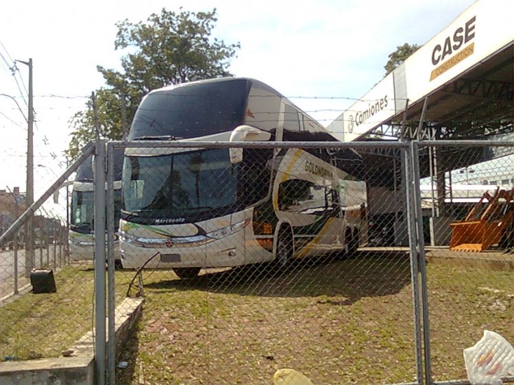 Scania K 420 - Marcopolo Paradiso G7 1800 DD (en Paraguay) - N.A.S.A. , Golondrina
Palabras clave: Scania