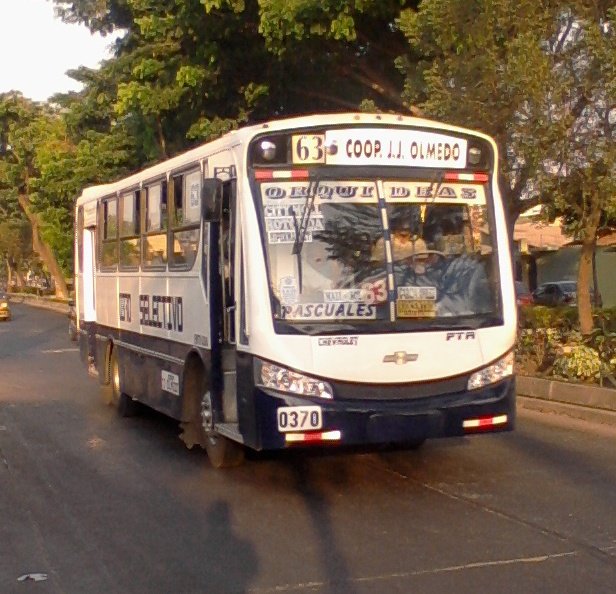 Buscars en Isuzu FTR
Linea 63
